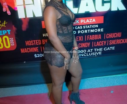 DSC_5384