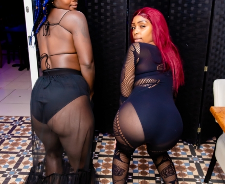DSC_2537